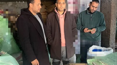 حملات تموينية مكثفة بمراكز محافظة البحيرة 