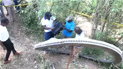 جسم فضائي غامض يسقط في كينيا ويثير الجدل.. فيديو