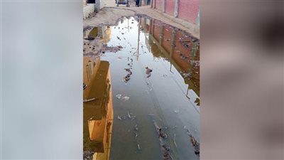 مياه الصرف الصحي تحاصر قرية منشاءة عمر مننذ عامين