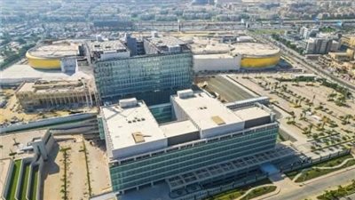 حقيقة اكتشاف كبسولة لعلاج سرطان البنكرياس 