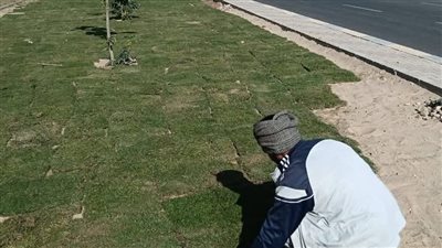 رئيس سوهاج الجديدة يتابع أعمال الزراعة والتجميل