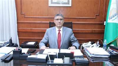 محافظ الجيزة يعلن صرف منحة عيد الميلاد المجيد للعمالة غير المنتظمة المسجلة 
