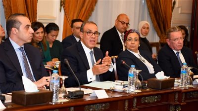 وزير الخارجية: تقدم ملموس في ملف حقوق الإنسان بتويجهات الرئيس السيسي