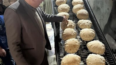  ضبط 5 طن ملح ومنتجات متنوعة فى حملات تموينية بالدقهلية