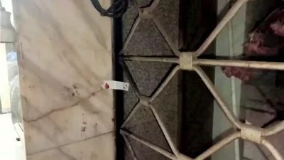 تشميع 4 محلات بالنادى الأوليمبي بالإسكندرية 