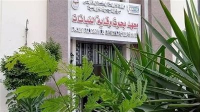  وقاية النباتات يصدر توصيات فنية لمكافحة دودة الحشد الخريفية