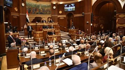 الشيوخ يفتتح جلسته العامة لمناقشة استغلال ثروات مصر المعدنية