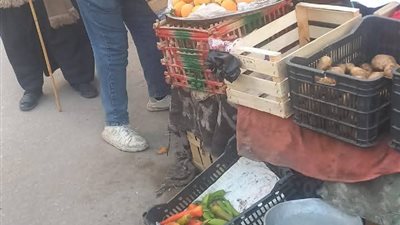 رفع 302 حالة إشغال طريق خلال حملة مكبرة بالبحيرة