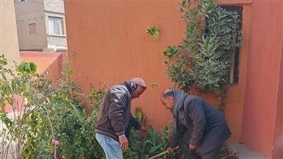 توجيه التربية الزراعية يواصل أعمال مبادرة تشجير المدارس بأبوتشت