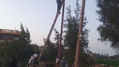 بعد سقوط 4 أعمده كهرباء.. استجابة فورية لشكاوى المواطنين بالرحمانية