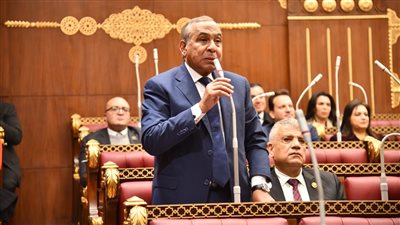 طارق رسلان: مصر مستهدفة بحملات إشعاعات ممنهجة