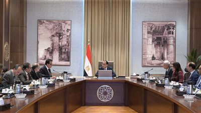 مدبولي يتابع جهود تعظيم الاستفادة من مشروع تطوير صيدليات الإسعاف