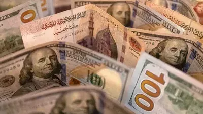 تفاصيل زيادة الاحتياطي النقدي الأجنبي (فيديو)