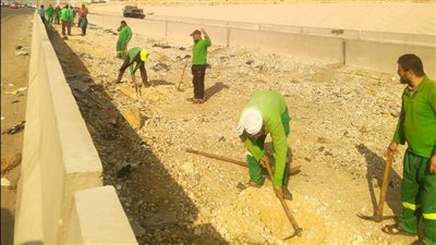 التنمية المحلية تعلن انطلاق مشروع تشجير الطريق الدائري بالقاهرة الكبري 