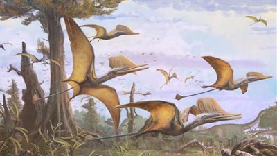 دراسة حديثة  تحل لغز الديناصورات الطائرة