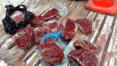 ضبط لحوم فاسدة وغير صالحة للاستهلاك بالفيوم 