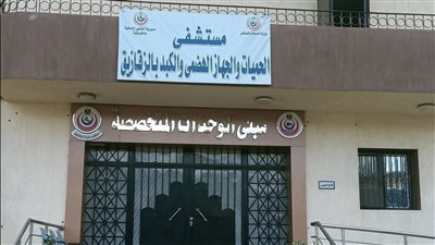 الصحة تقدم أكثر من 17 مليون خدمة طبية بمحافظة الشرقية خلال عام 2024