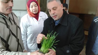 مدير أمراض النباتات يتفقد العمل بصوب تقييم سلالات القمح لتسجيل أصناف جديدة 