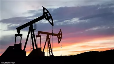 خبير: الدولة المصرية تستهدف 2040 حوالي 65.7% من الطاقة المتجددة.. فيديو