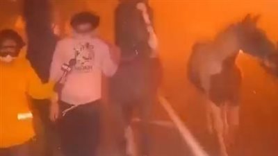 كاليفورنيا تحترق.. والمياه تنفذ من فرق الإطفاء ( صور)