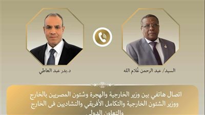 مصر تدين العمل الإرهابي بنجامبيا.. تفاصيل الاتصال بين وزير الخارجية ونظيره التشادي