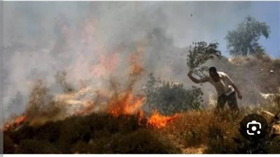مستعمرون يحرقون غرفة زراعية شرق رام الله