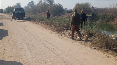 استجابة للوفد.. تحرير محاضر لمستخدمى السموم والكهرباء في صيد الأسماك بالقليوبية  