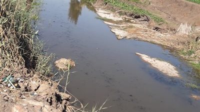  تلوث مياه الرى يثير غضب أهالى الدقهلية 