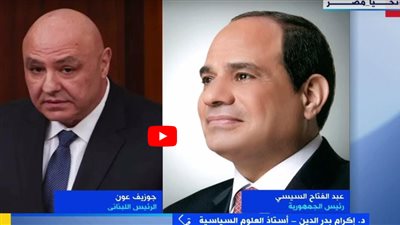 أستاذ علوم سياسية: مصر تحرص على استقرار الدول العربية وتهدئة الصراعات (فيديو)