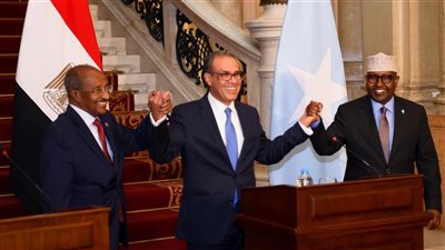 دبلوماسي سابق: القمة الوزارية الثلاثية لمصر وإريتريا والصومال تكتسب أهمية بالغة
