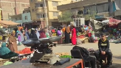 محافظ بني سويف: انتظام العمل بمبادرة 