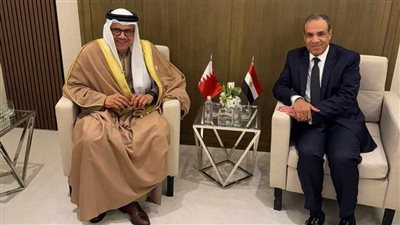 وزير الخارجية يبحث مع نظيره البحريني سبل إنهاء الأزمة السورية 