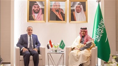 وزير الخارجية يلتقي نظيره السعودي على هامش الاجتماعات الخاصة بسوريا في الرياض