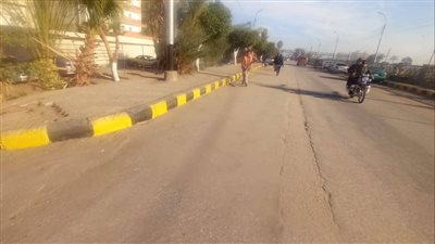 تطوير وتجميل مداخل مدينة مطاي بالمنيا 