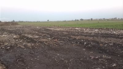  الدقهلية: الانتهاء من رفع المقلب العشوائي بمركز ميت سلسيل 