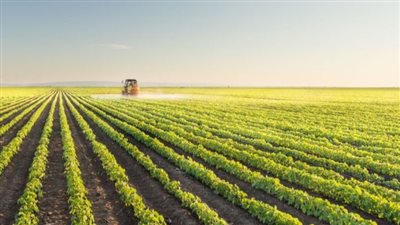 ما هي الزراعة المستدامة التي حظيت باعتراف دولي في 2015 ؟