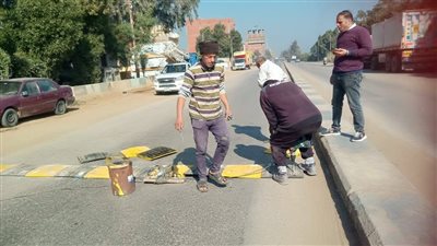 تركيب مطبات صناعية في مدينة ناصر بناءً على طلب النائبة سهام بشاي