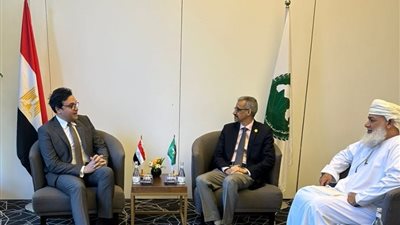 هنو: وزارة الثقافة ستظل راعية لجميع مبادرات وأنشطة تعزيز الهوية الثقافية العربية