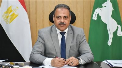 محافظ الشرقية يُشيد بمجهودات الأجهزة التنفيذية ببلبيس في 2024