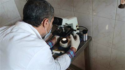 الكشف على 1300 مواطن ضمن القافلة الطبية المجانية بمركز بلقاس