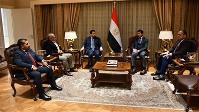 مصر تتألق في دعم الرياضة الإقليمية.. تعزيز التعاون في الرجبي
