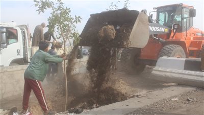 الجيزة: تنفيذ المرحلة الأولى لتشجير الطريق الدائري ضمن مبادرة 100 مليون شجرة