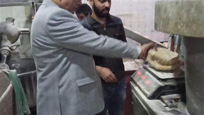  ضبط 4 أطنان مخللات وأعلاف فى حملات تموينية بالدقهلية