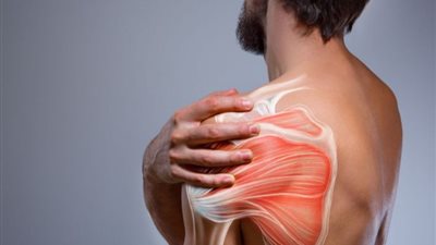 علماء يختبرون عقار لعلاج أشكال نادرة من ضمور العضلات