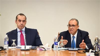 وزير الخارجية يُثمن الحزمة المالية الأوروبية المقدمة لمصر