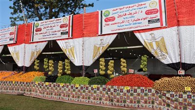 وسط الحدائق والمتنزهات.. إقامة سوق اليوم الواحد بالإسماعيلية 