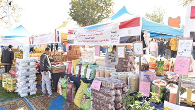 لحوم ودواجن وأسماك في سوق اليوم الواحد بالإسماعيلية 