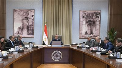 مدبولي يبحث تيسير إجراءات وصول السائحين إلى المطارات المصرية 