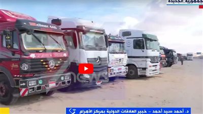 خبير: مصر لعبت دورا بارزا في وقف إطلاق النار بغزة