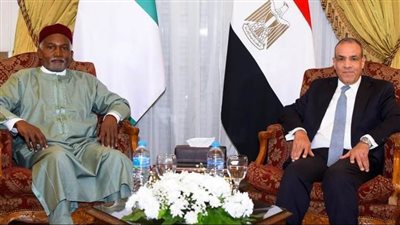 إعلان مشترك بمناسبة المشاورات السياسية الثالثة على المستوى الوزاري بين مصر ونيجيريا 